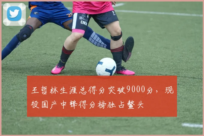 王哲林生涯总得分突破9000分,现役国产中锋得分榜独占鳌头